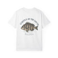 Stripes Of The South